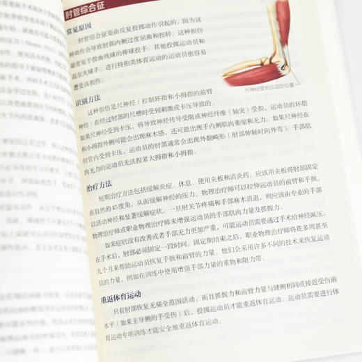 运动康复书籍 运动损伤的预防*与恢复 第2版 运动损伤解剖学 腰部康复训练 商品图3