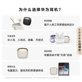 华为FreeBuds SE 3 无线蓝牙耳机超长续航42小时快速充电 流光金 /数码 /影音娱乐 /蓝牙/无线耳机