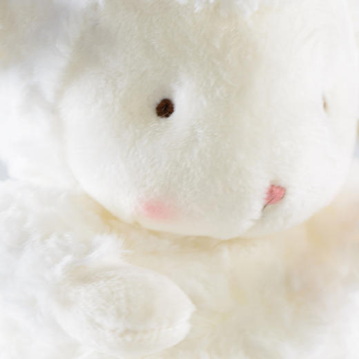 海湾兔 经典小羊 小经典礼盒 毛绒玩具生日情人节女生布偶安抚娃娃海湾兔 商品图2