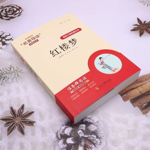 课程化精批精注本.红楼梦 商品图1