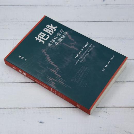 把脉:全球巨变与中国经济 商品图1