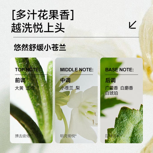 💠【升级】满婷氨基酸控油去屑洗发乳250ml和450ml——加入会员下单享8折，满69元送满婷清满保湿洁面乳，满119元送祛痘控油沐浴乳 商品图5