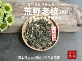 【新茶上市】2025荒野老枝，一款极其稀缺的特制荒野茶，披着白牡丹的外衣，茶汤清鲜，清灵，又香又蜜，让人欲罢不能！(一斤收藏装)