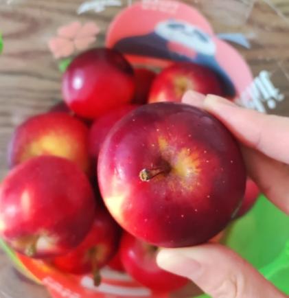 【自提】乐琪苹果900g 商品图4