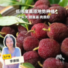 生态东魁杨梅 | 合作生产*Eco-waxberry | Coproduction 商品缩略图0