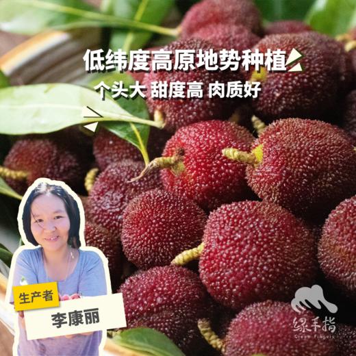 生态东魁杨梅 | 合作生产*Eco-waxberry | Coproduction 商品图0