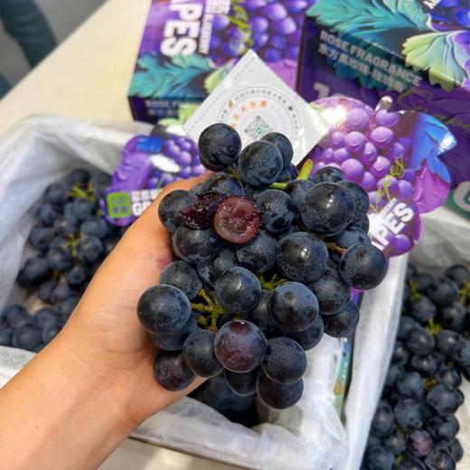 蓝莓葡萄 新鲜采摘 又水又甜 商品图2