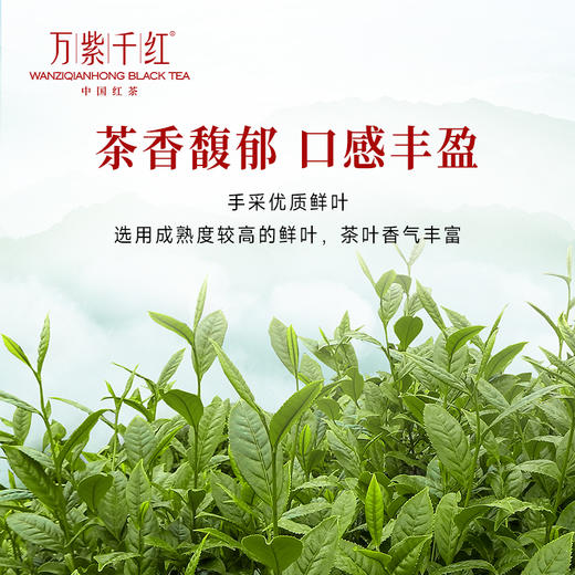 万紫千红特级茶叶峨眉高山红茶礼盒款罐装75g*2蜜香茶送礼送长辈 商品图3