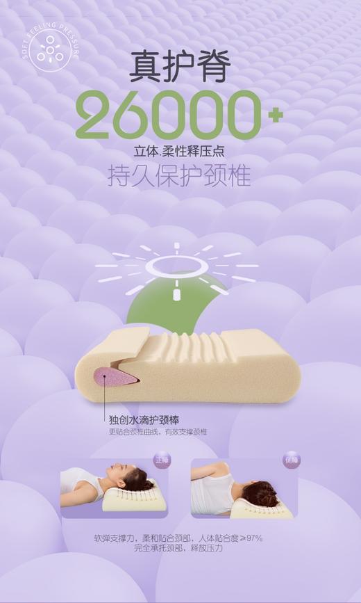 双芯硅胶枕儿童学生成人 商品图1