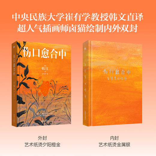 《伤口愈合中》 [韩] 韩江/ 著    崔有学/译 商品图4