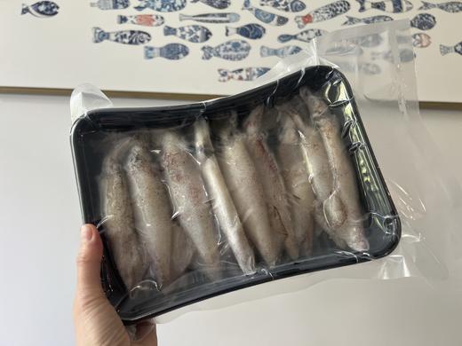 【带籽笔管/小鱿鱼】特价！分装500g/盒/29元，整箱9斤/260元 商品图1