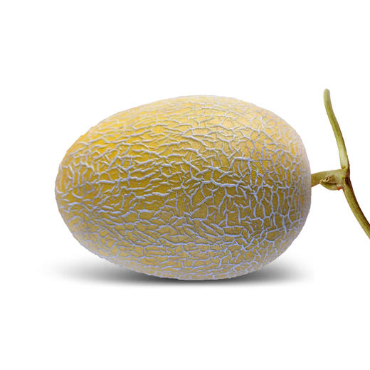 海南黄金蜜瓜新鲜现摘香甜多汁2-4.5斤 商品图4