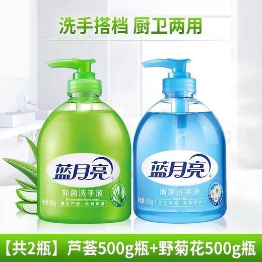 蓝月亮芦荟抑菌+野菊花清爽洗手液500g*2瓶 商品图0