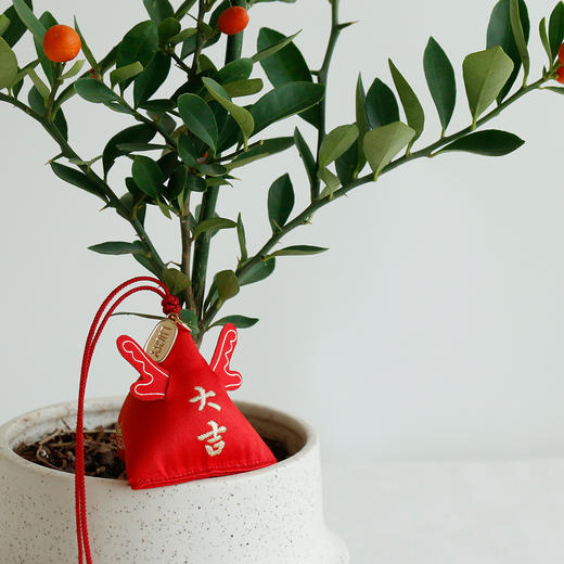 天然植物香料  浓浓艾草香【心水好物 端午香包香囊】 随身佩戴 驱蚊安神 商品图10