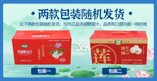 【严选】华贵洪湖野莲汁240ml /瓶（新老包装随机发）（厂家直发） 商品图6