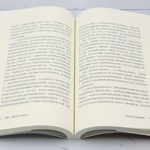 把脉:全球巨变与中国经济 商品图4