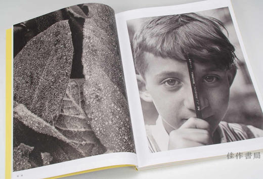 Aenne Biermann Fotografin / 安妮·比尔曼：德国女摄影师 商品图2