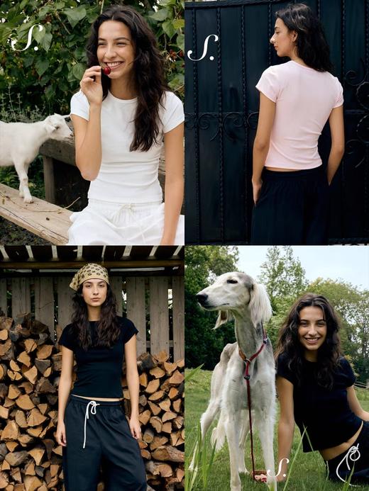 shyshystill/shy202502022/舒适棉质大弹力多件留基础款棉质短袖T恤 商品图0