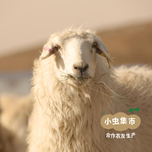 乌珠穆沁有机羊肉（部分规格有折扣） | 合作农友生产，产自内蒙古锡林郭勒盟东部乌珠穆沁草原，生产者：何梅 *【公平贸易农人定价】 商品图5