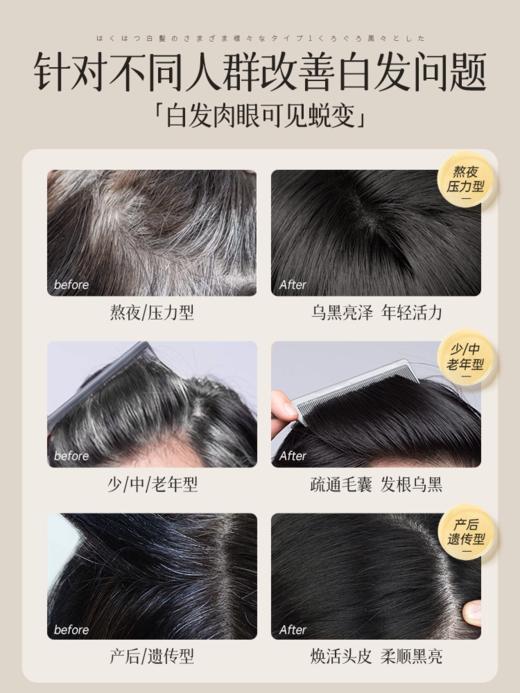 儒意黑灵芝何首乌洗发水非纯植物品牌官方500ml瓶 商品图2