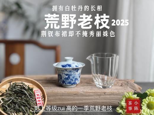 【新茶上市】2025荒野老枝，一款极其稀缺的特制荒野茶，披着白牡丹的外衣，茶汤清鲜，清灵，又香又蜜，让人欲罢不能！（50克） 商品图5
