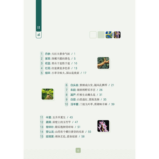 采药记——野外探寻本草原貌 步瑞兰 辛晓伟 王聪聪 主编 本书适合中医初学者 爱好者阅读参考 中药学9787117377201人民卫生出版社 商品图3