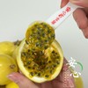 【可以勺着吃的百香果】黄金百香果 钦蜜9号 香气炸弹  甜蜜来袭  颗粒饱满 色泽橙黄 果香馥郁 阵阵沁人心脾的香味 成熟时果皮呈金黄色 酸度低 不加蜂蜜自然甜 商品缩略图9