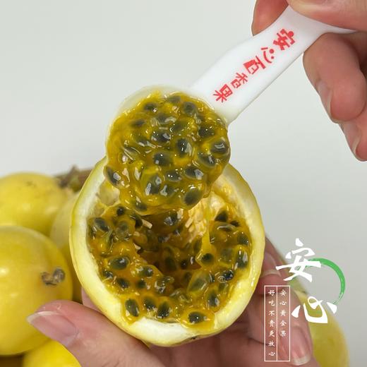 【可以勺着吃的百香果】黄金百香果 钦蜜9号 香气炸弹  甜蜜来袭  颗粒饱满 色泽橙黄 果香馥郁 阵阵沁人心脾的香味 成熟时果皮呈金黄色 酸度低 不加蜂蜜自然甜 商品图9