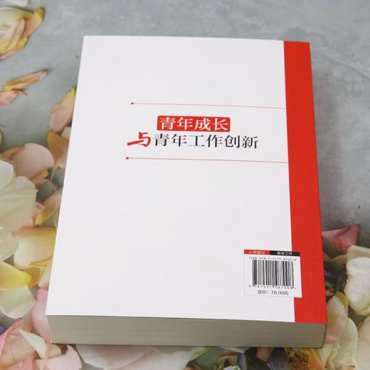 青年成长与青年工作创新 商品图2