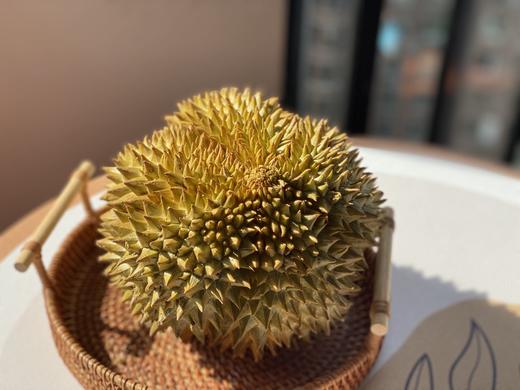 「榴莲忘返！」泰国托曼尼榴莲丨软糯香甜•最接近猫山的口感｜甲伦｜金枕 按果期上架 好饱满好甜 txa 商品图8