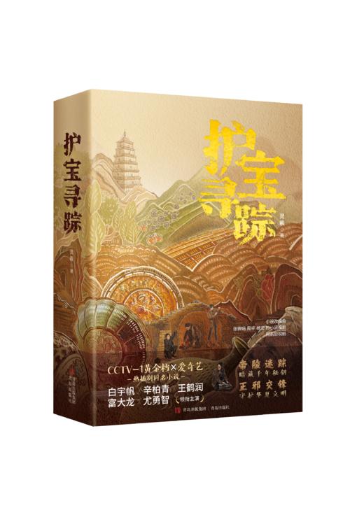 护宝寻踪 央视热播剧同名小说 爱奇艺解密考古文物保护题材刑侦剧 商品图3