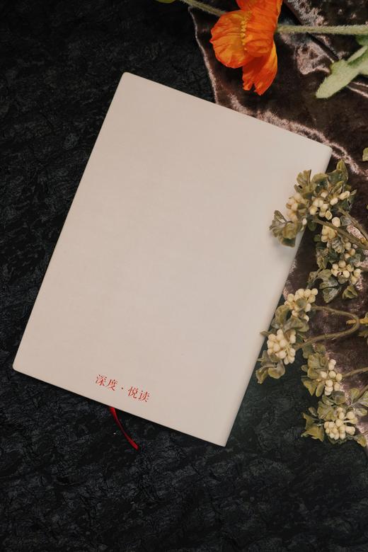 万千心理文创·20周年定制笔记本 商品图2