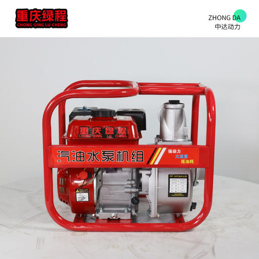 重庆绿程 WP30 商品图0