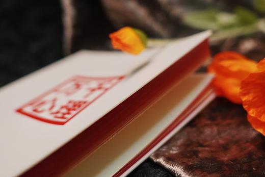 万千心理文创·20周年定制笔记本 商品图3