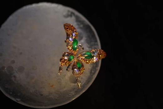 绝色小宝蝶 商品图1