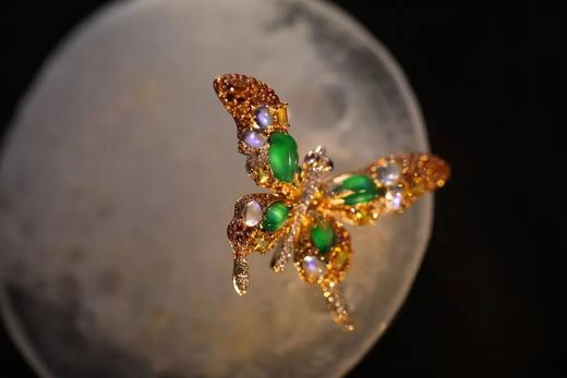 绝色小宝蝶 商品图2