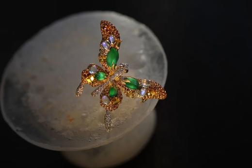 绝色小宝蝶 商品图3