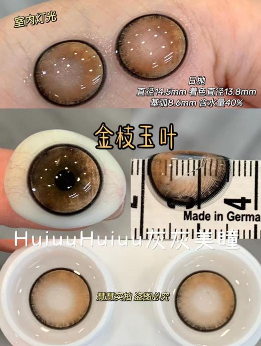 【大直径合集】金棕色合集-14.5mm【年抛/半年抛/日抛 0-800度 无525/575】【室内暖光，浅瞳上眼】 商品图4