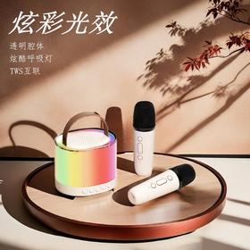 亰维渡K25双麦克风K歌音箱