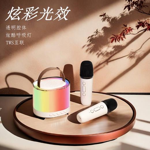 亰维渡K25双麦克风K歌音箱 商品图0