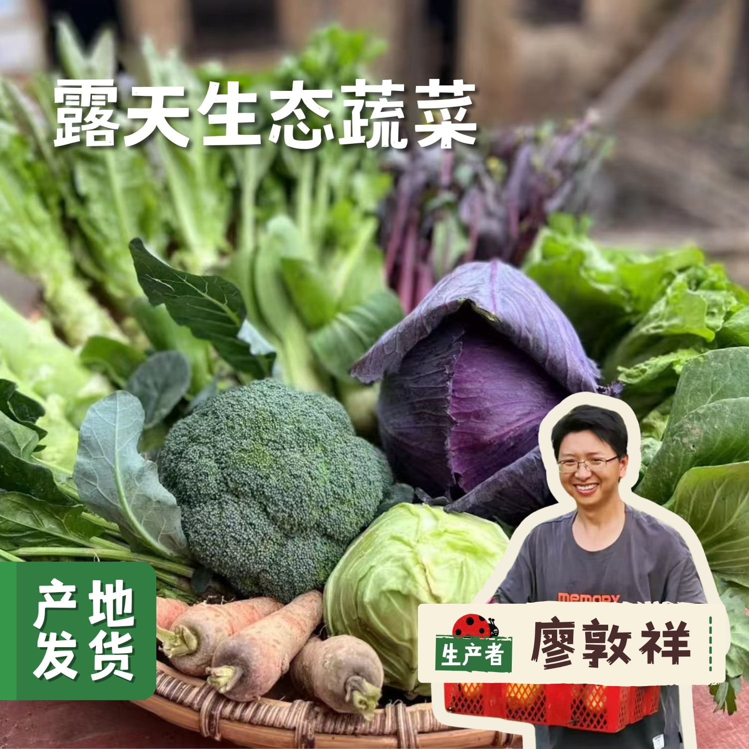 湖南露天生态蔬菜单品（特惠圆包菜红菜苔/西兰苔/白菜苔/白花菜） | 合作农友生产，来自湖南邵阳，生产者：廖敦祥 *【公平贸易农人定价】