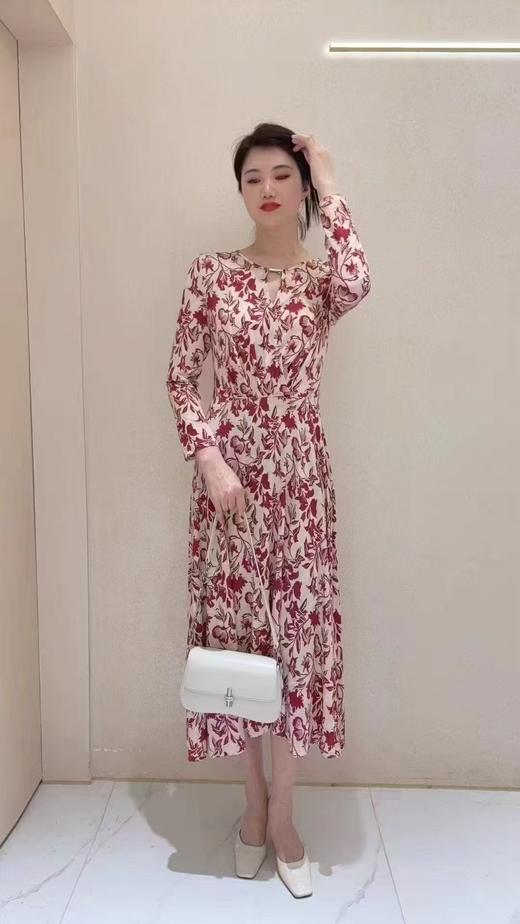 稀菲尔SHEFL女装连衣裙C146806G 商品图0