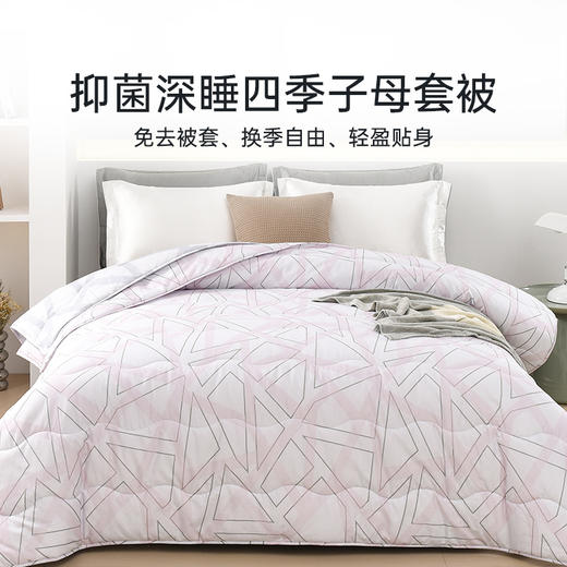 2025年春季新品雅芳婷全棉子母套被二合一子母被抑菌免被套四季被 商品图0