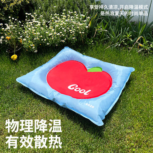 zeze柠檬宠物冰床组合链接-B（包邮） 商品图3