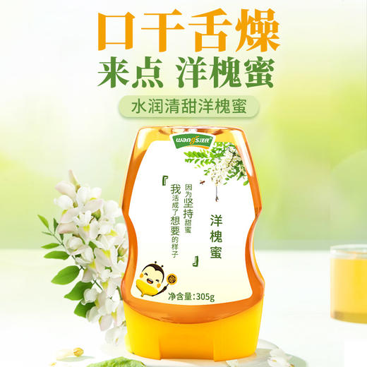 【汪氏】正宗洋槐蜜305g*5 商品图0