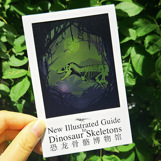 恐龙骨骼博物馆 商品图4