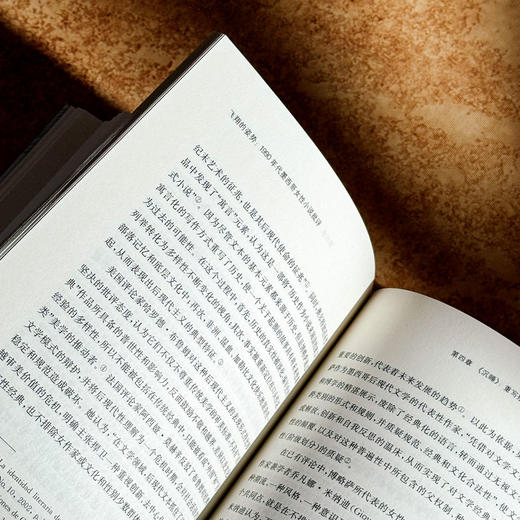 飞翔的姿势 1990年代墨西哥女性小说批评 陈硕 女性叙事 商品图10