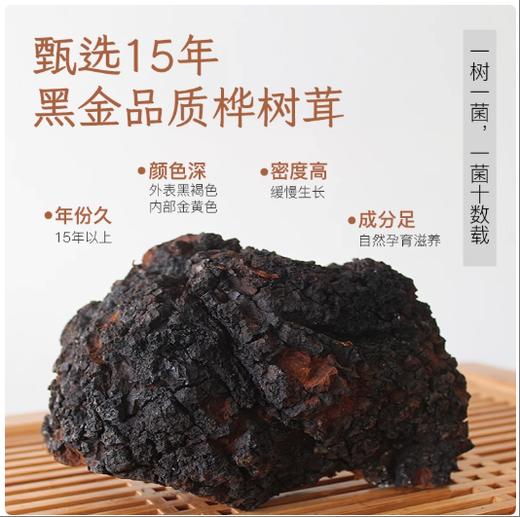 塔哈尔河多孔菌黄芪提取液桦树茸饮品50ml*10瓶 商品图2