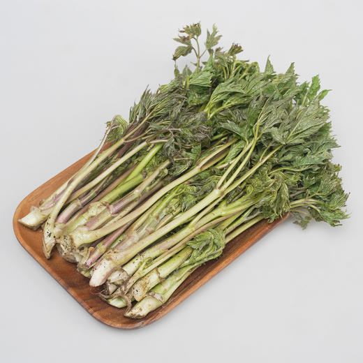 【东北新鲜苦嫩芽菜】苦龙芽菜1斤东北山野菜北升麻苦力芽苦嫩芽 商品图1