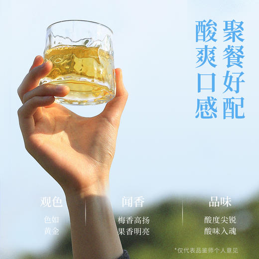 超酸梅见青梅酒果酒12度330ml*6女士低度酒原味甜酒微醺梅子酒晚安酒 商品图4